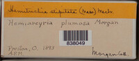 Image Associated With the Occurence